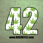 Bred by 42 | Roots 6.4 Gardens - S.F.V. Og x B.S.E. Colab  (F) (10 Pack)