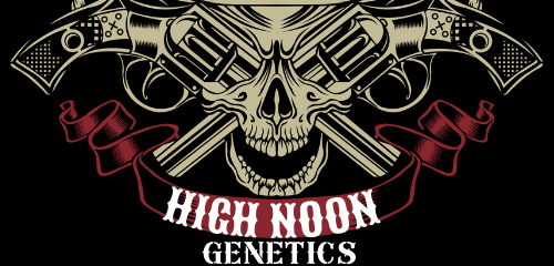 High Noon Genetics