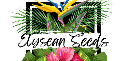 Elysean Seeds