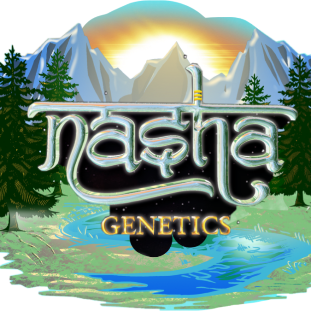 Nasha Genetics