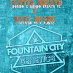 Peanut Butter Breath x Baby Shark