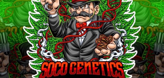 SoCo SeedCo