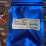 SOUR THANOZ X MOONBOW 112IX