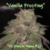Vanilla Frosting F5